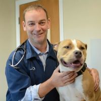 East Springfield Veterinary Hospital ico