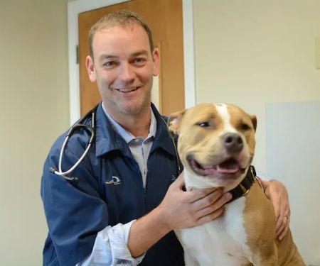 East Springfield Veterinary Hospital