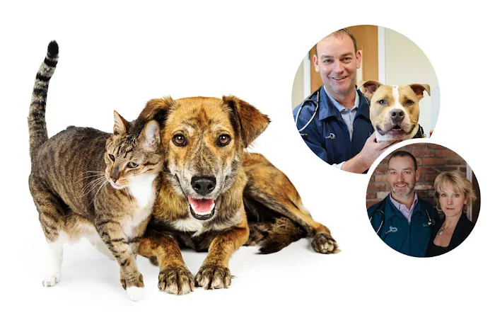 East Springfield Veterinary Hospital Picture 4