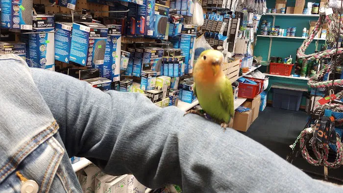 Birds & Beasts Pet Shop Picture 2