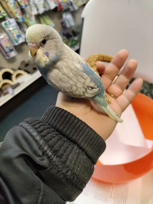 Birds & Beasts Pet Shop Picture 6