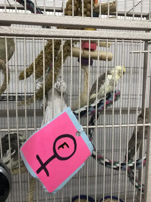 Birds & Beasts Pet Shop Picture 5