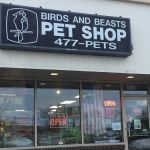 Birds & Beasts Pet Shop