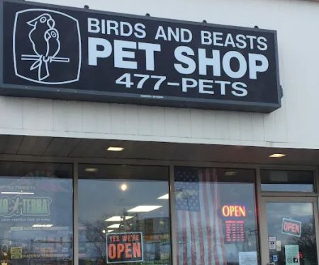 Birds & Beasts Pet Shop