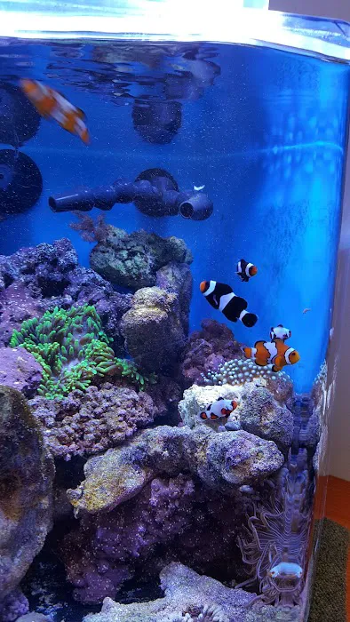 Living Art Aquatics, Inc. Picture 5