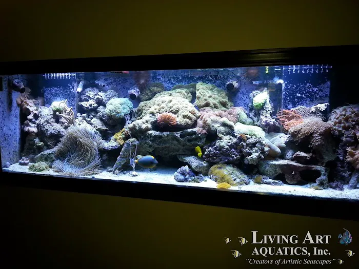 Living Art Aquatics, Inc. Picture 7