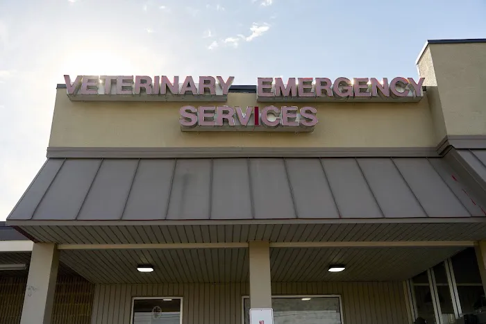 Veterinary Emergency Services Picture 1