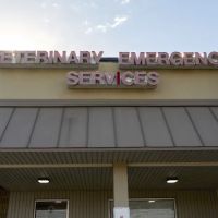 Veterinary Emergency Services ico