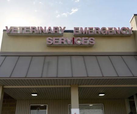 Veterinary Emergency Services