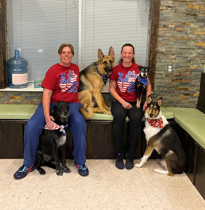 Veterinary Emergency Services Picture 10