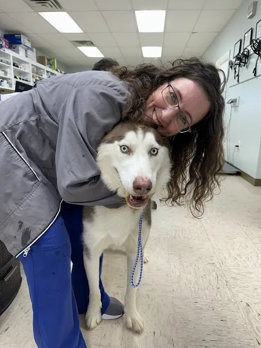 Veterinary Emergency Services Picture 7