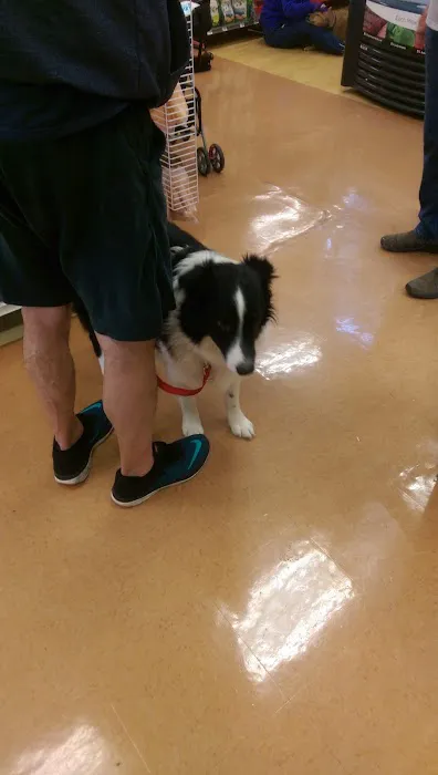 Petco Picture 8