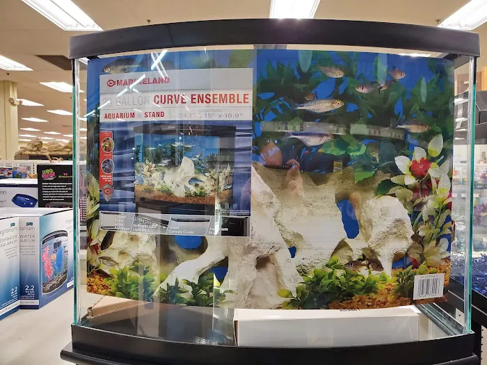 Petco Picture 2