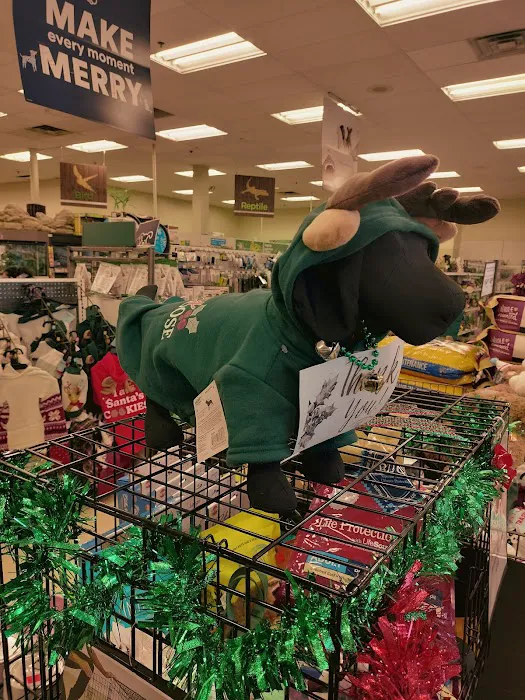 Petco Picture 9