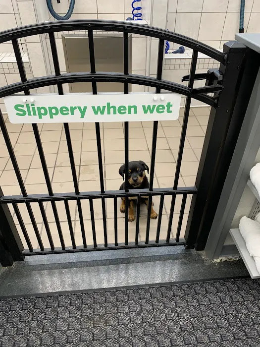 Pet Supplies Plus Wauconda Picture 6