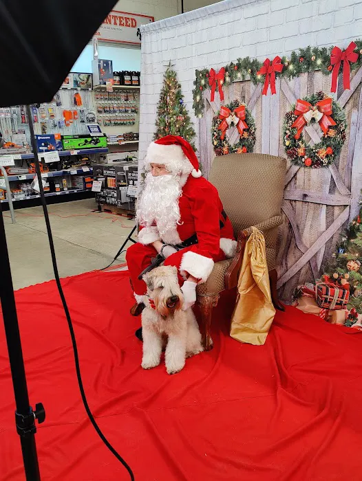 Pet Supplies Plus Wauconda Picture 10