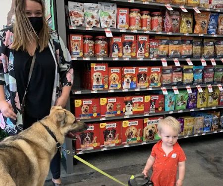 Pet Supplies Plus Wauconda