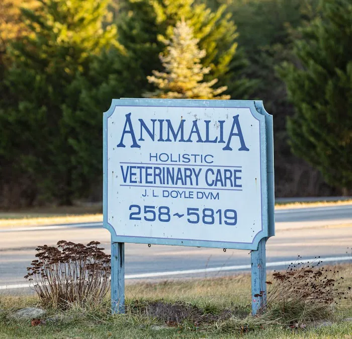 Animalia Veterinary Care Picture 6
