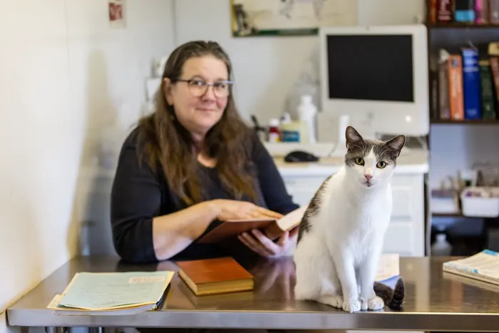 Animalia Veterinary Care Picture 3