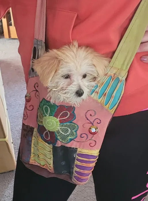 Patty's Pups Picture 2