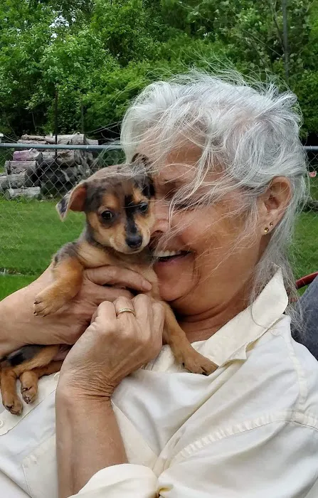 Fur Babies & Friends Picture 4