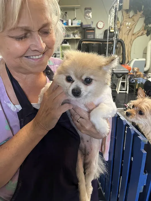 Fur Babies & Friends Picture 2