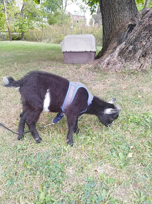 Top Notch Veterinary Clinic Picture 10