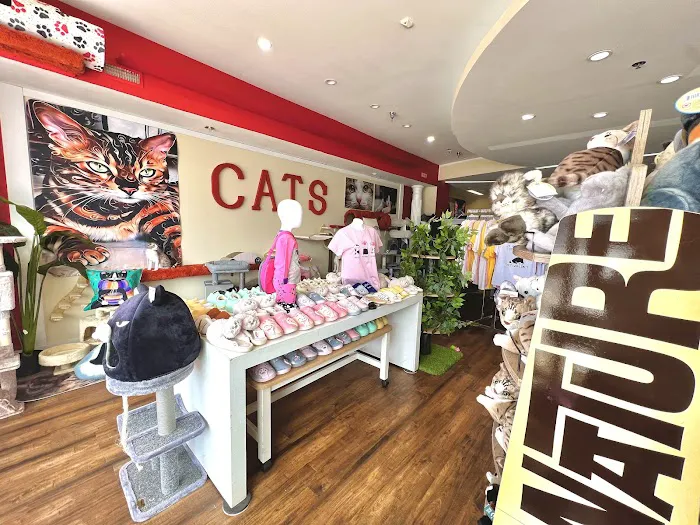 Kitty Citty Shoppe Picture 9