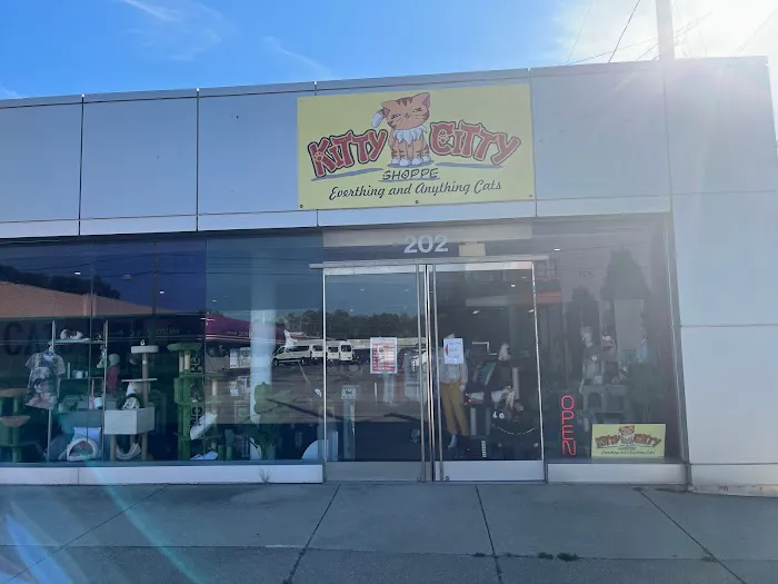 Kitty Citty Shoppe Picture 7
