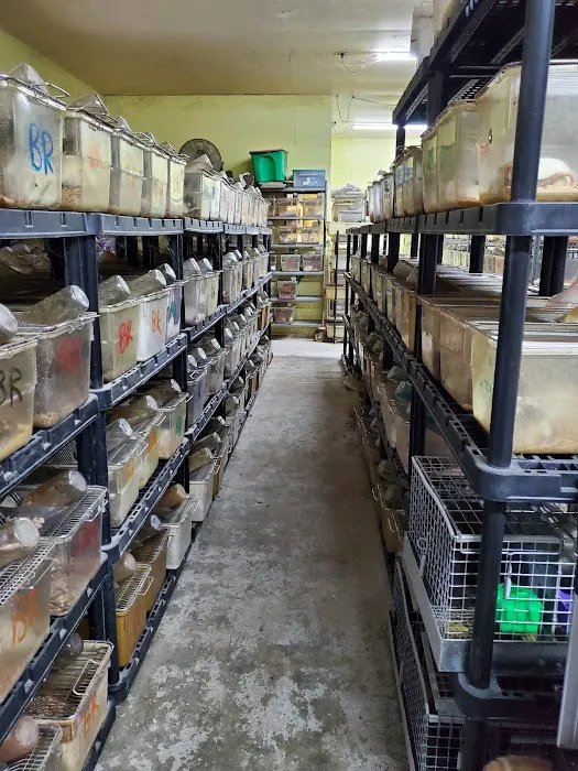 Indiana Feeder Factory Picture 10