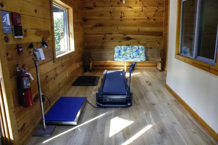 The Cabin Spa by K. Vet Animal Care Picture 5