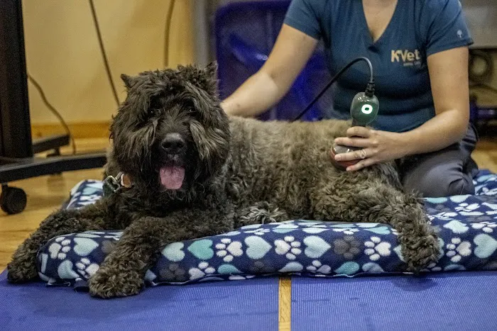 The Cabin Spa by K. Vet Animal Care Picture 3