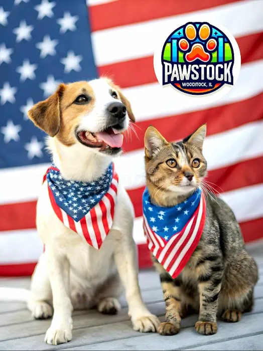 Pawstock Picture 9
