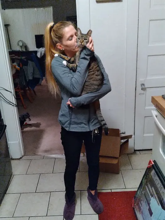 All Pets Hospital Picture 5