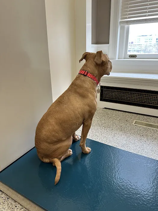 Heart & Soul Animal Hospital Picture 1