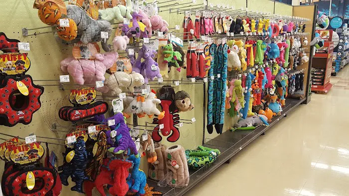 Petco Picture 3