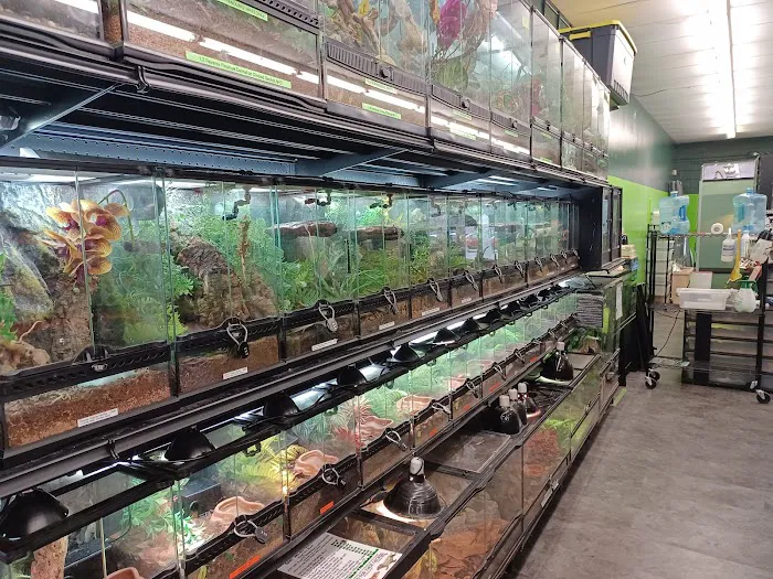 Toadally Frogs LLC Picture 2