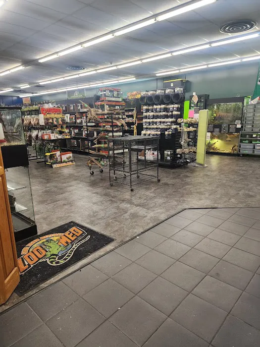 Toadally Frogs LLC Picture 6