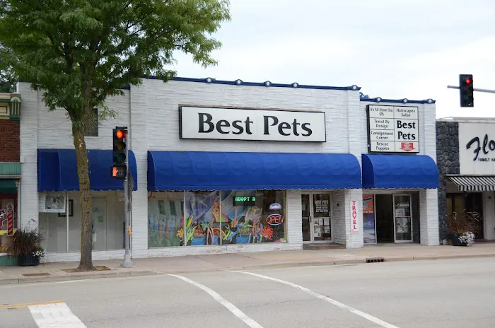 Best Pets, Ltd. Picture 6
