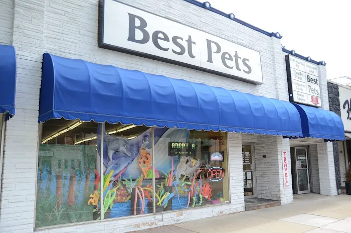 Best Pets, Ltd. Picture 2