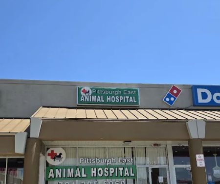 Pittsburgh East Animal Hospital