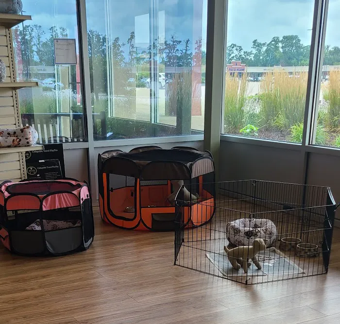 Pocket Puppies Picture 6