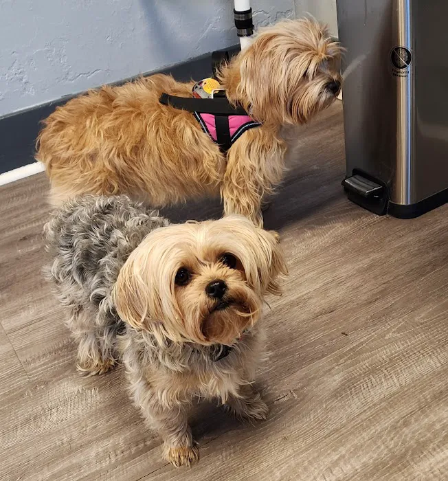 Scottdale Veterinary Clinic Picture 7