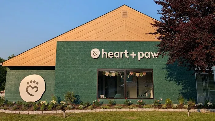 Heart + Paw Picture 8