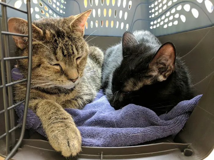 Banfield Pet Hospital Picture 2