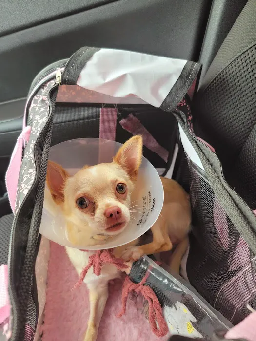 Banfield Pet Hospital Picture 4