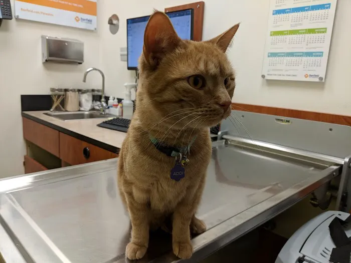 Banfield Pet Hospital Picture 1
