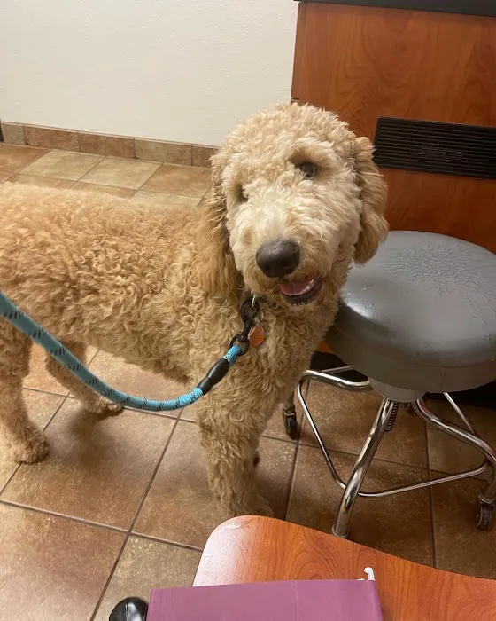 Banfield Pet Hospital Picture 8