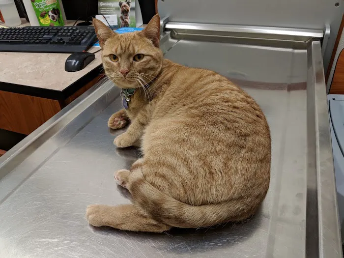 Banfield Pet Hospital Picture 6