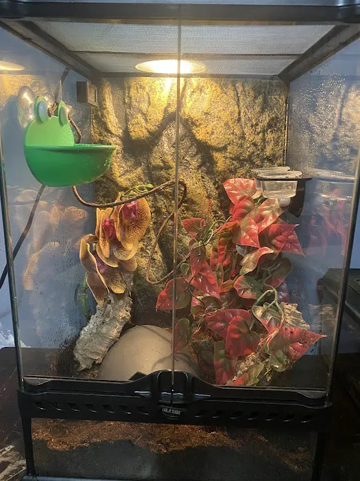 Pets Burg Picture 6